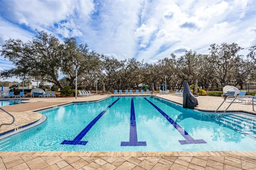 12619 Hammock Park Drive Riverview FL 33579