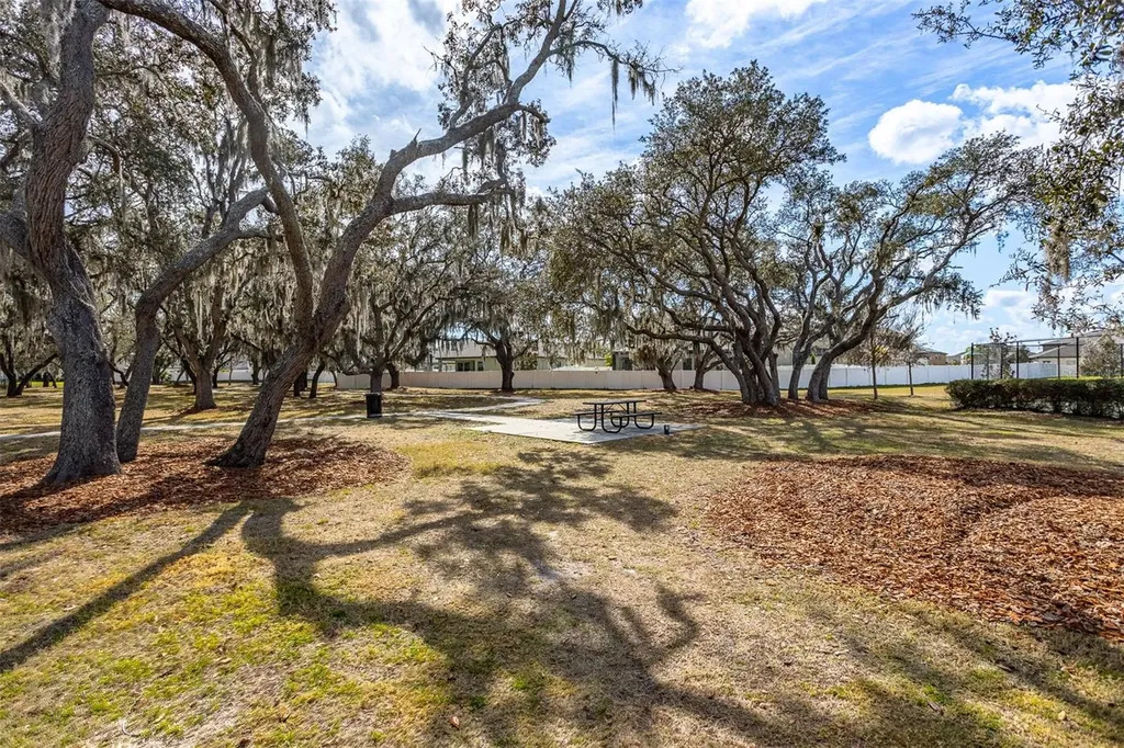 12619 Hammock Park Drive Riverview FL 33579