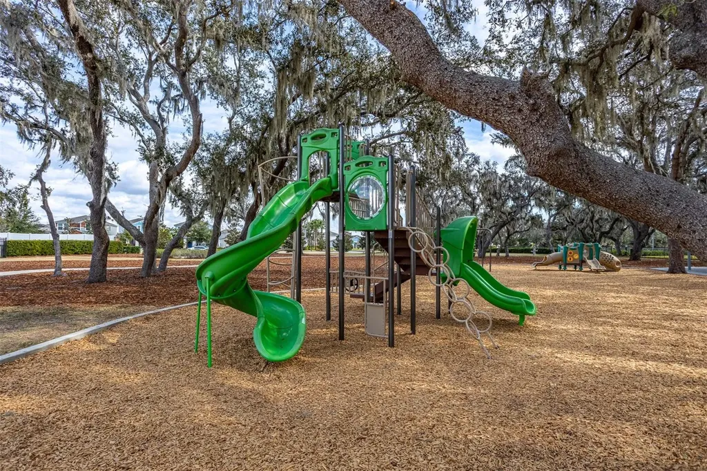 12619 Hammock Park Drive Riverview FL 33579