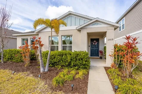 12619 Hammock Park Drive Riverview FL 33579