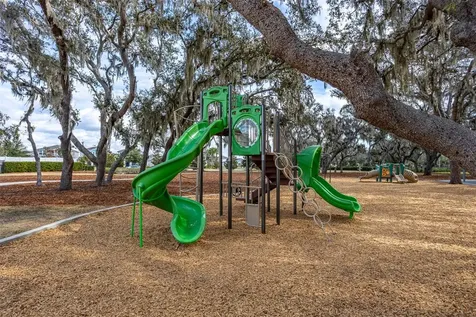 12619 Hammock Park Drive Riverview FL 33579