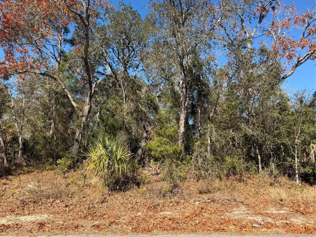 4307 Castle Avenue Spring Hill FL 34609