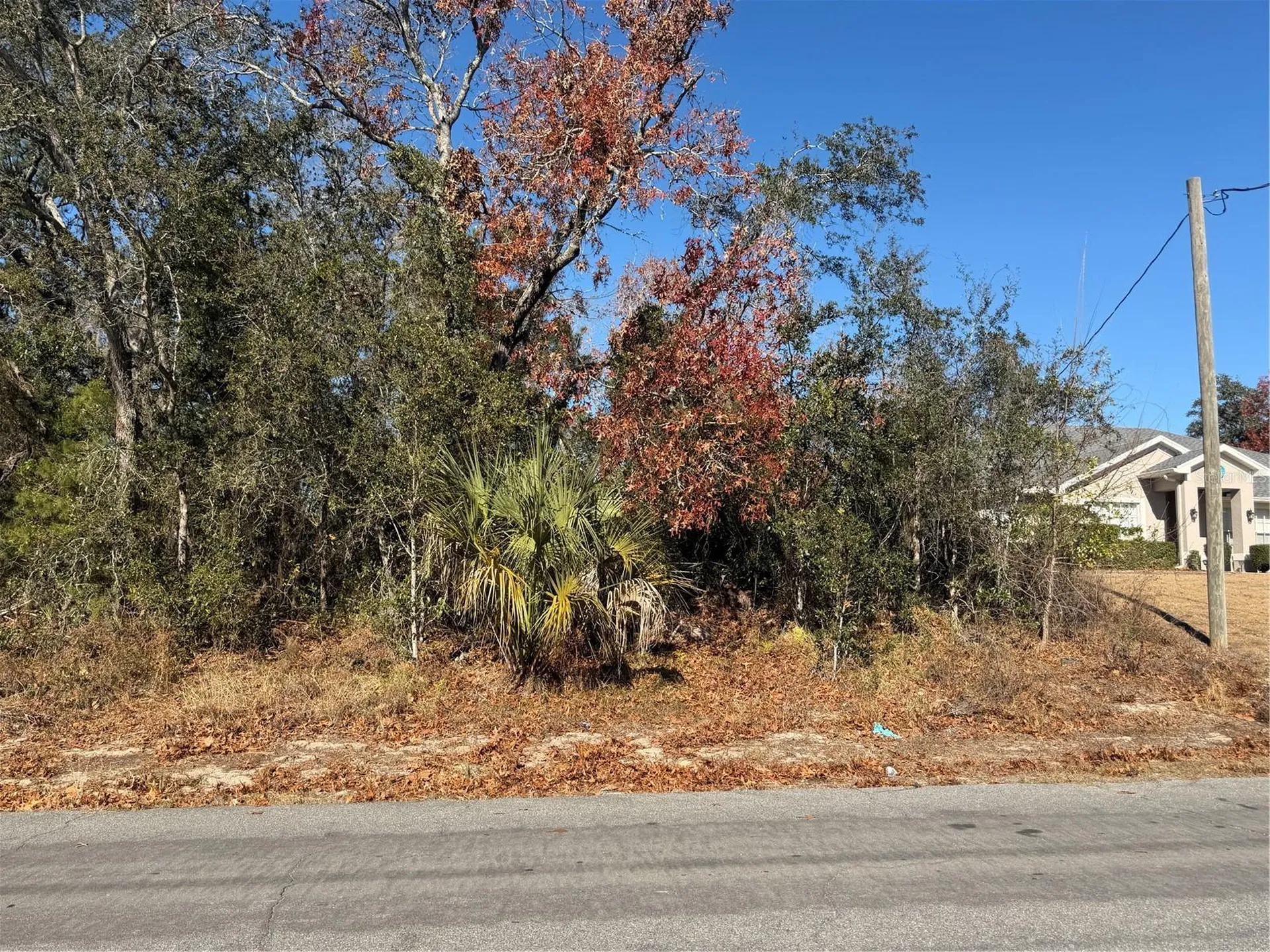 4307 Castle Avenue Spring Hill FL 34609
