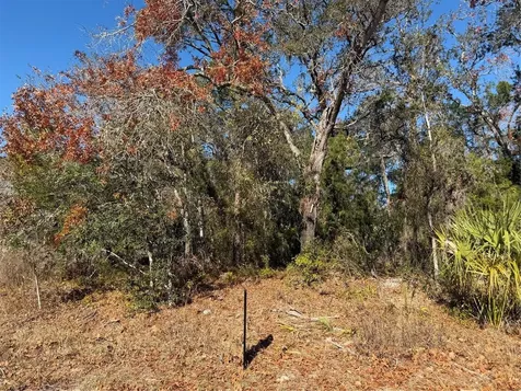 4307 Castle Avenue Spring Hill FL 34609