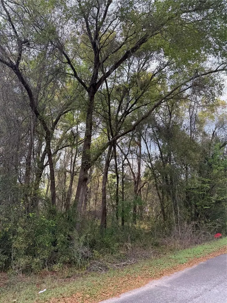 Tbt SE 48th Court Summerfield FL 34491