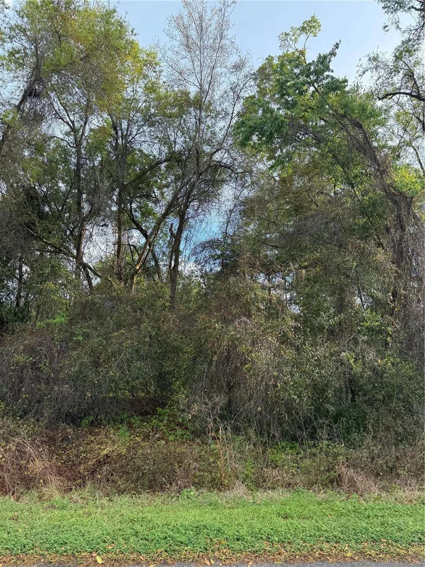Tbt SE 48th Court Summerfield FL 34491