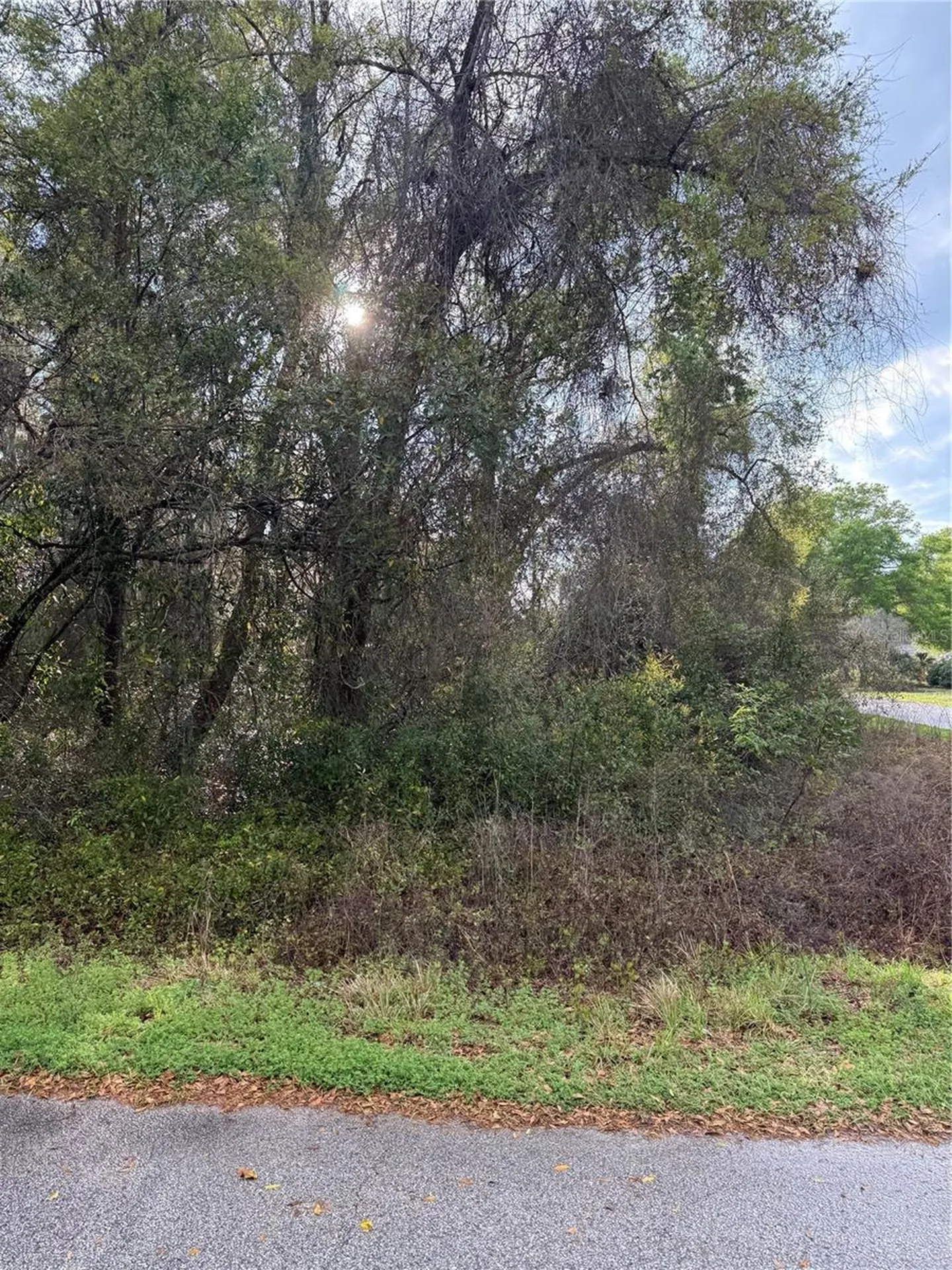 Tbt SE 48th Court Summerfield FL 34491