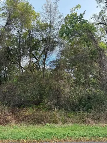 Tbt SE 48th Court Summerfield FL 34491