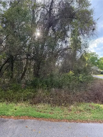Tbt SE 48th Court Summerfield FL 34491