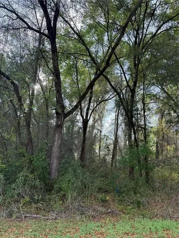 Tbt SE 48th Court Summerfield FL 34491