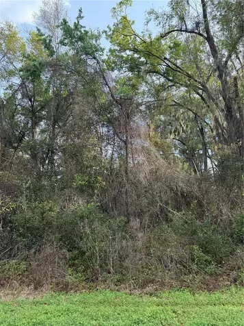 Tbt SE 48th Court Summerfield FL 34491