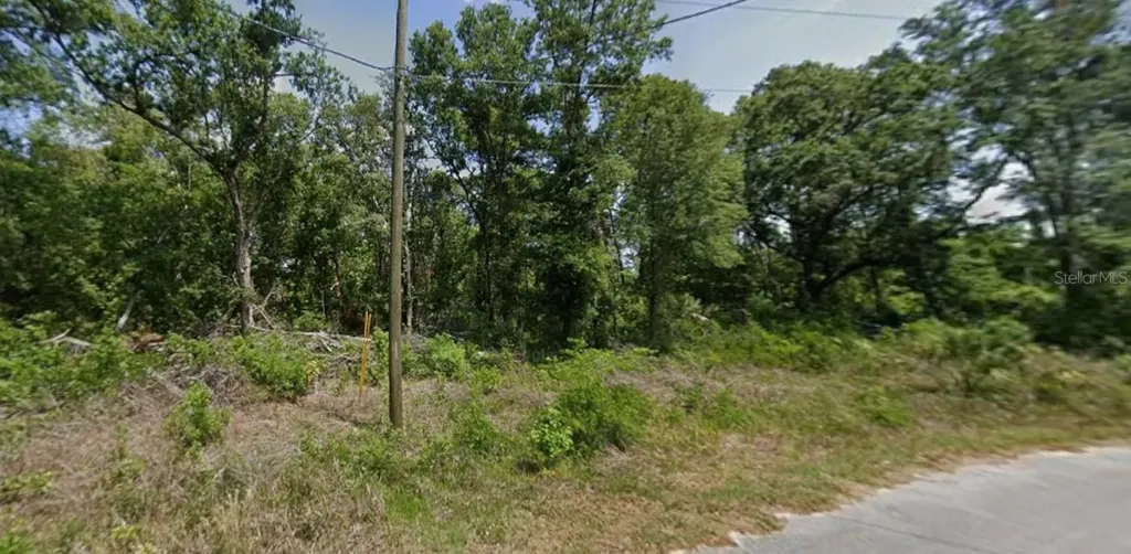 Tbd Oak Lane Way Ocala FL 34472
