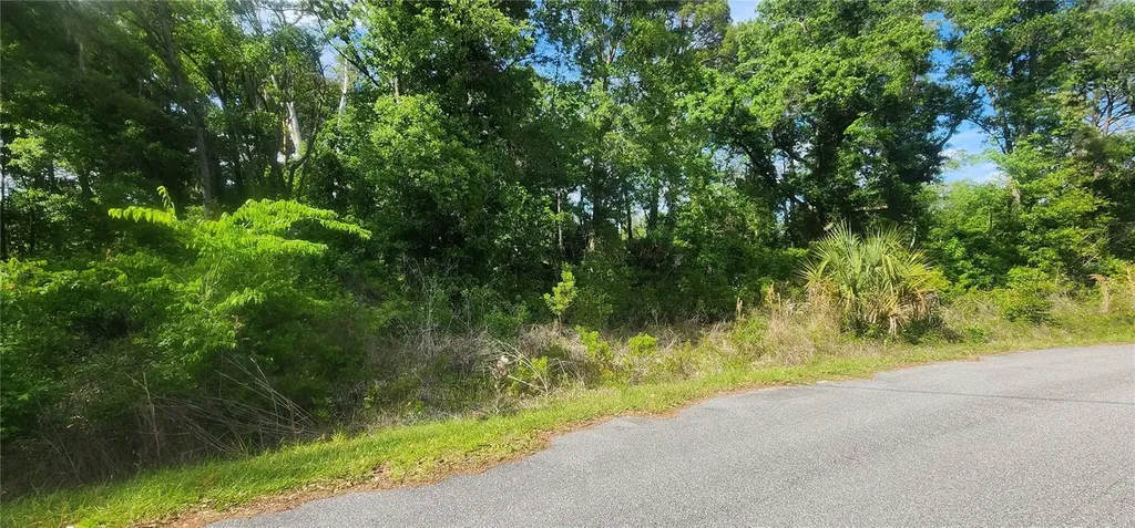 Tbd Oak Lane Way Ocala FL 34472