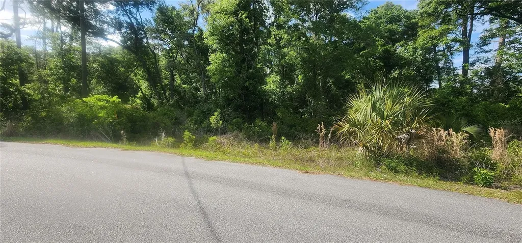 Tbd Oak Lane Way Ocala FL 34472