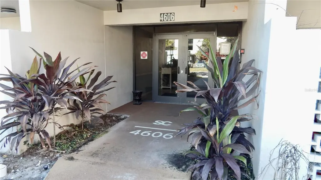 4606 W Gray Street Tampa FL 33609