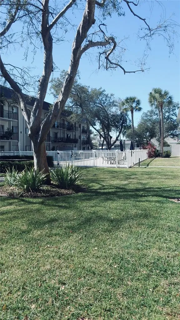 4606 W Gray Street Tampa FL 33609