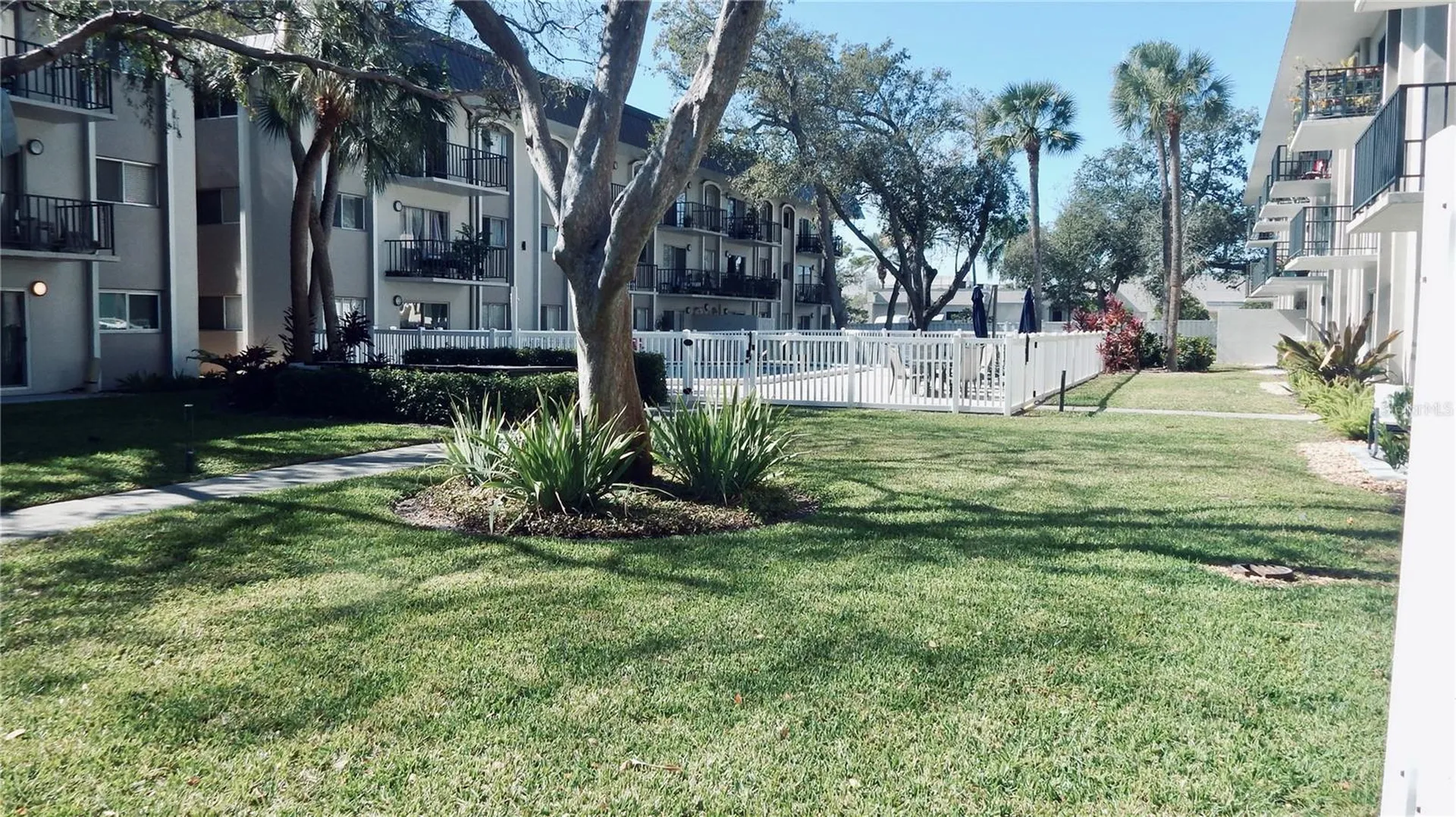 4606 W Gray Street Tampa FL 33609