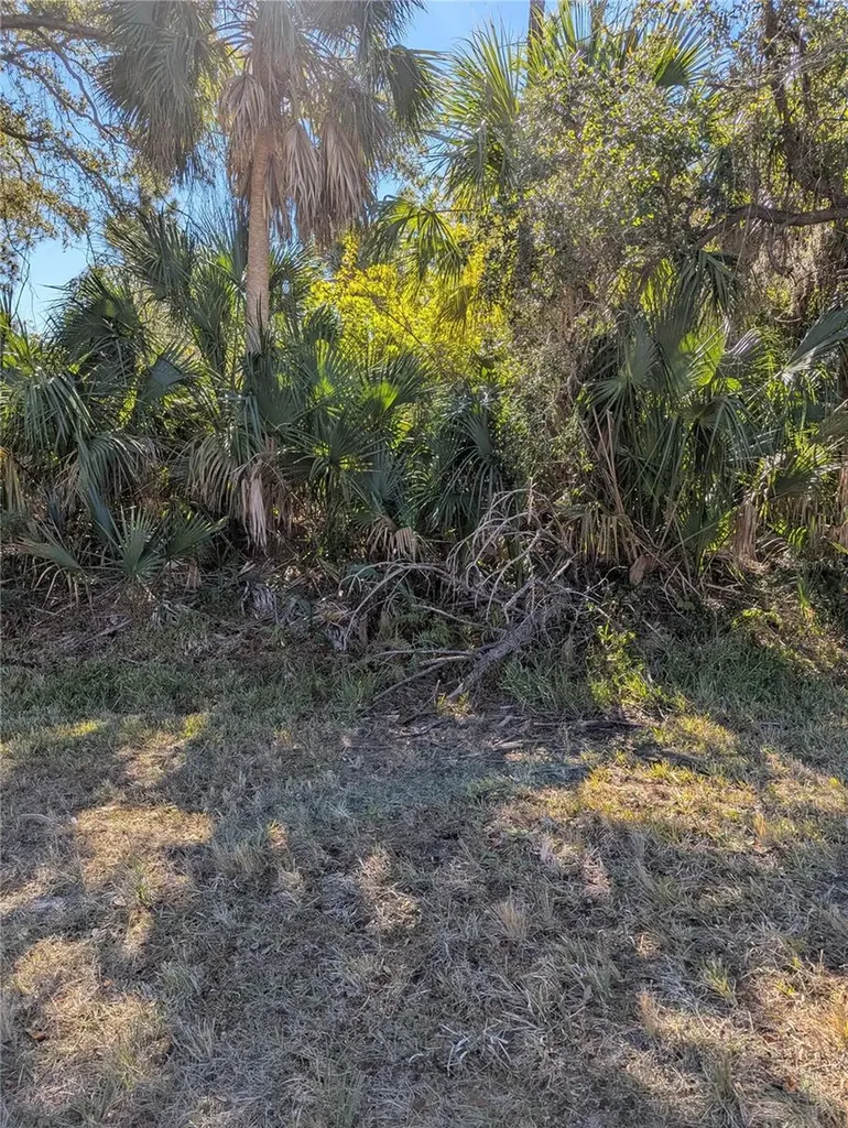 Lots 1,2&3 De Leon Drive North Port FL 34287