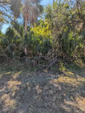 Lots 1,2&3 De Leon Drive North Port FL 34287