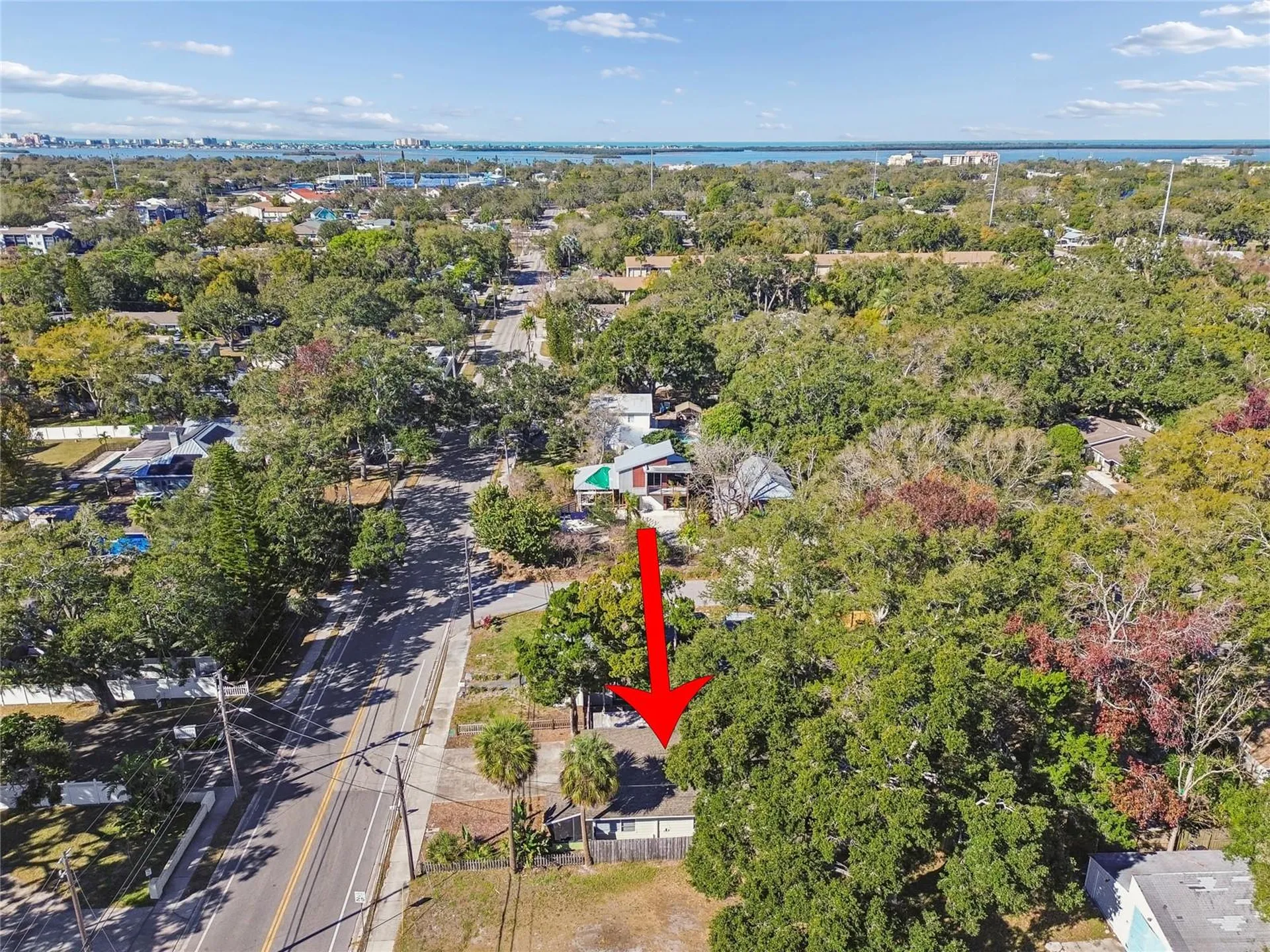 902 Beltrees Street Dunedin FL 34698