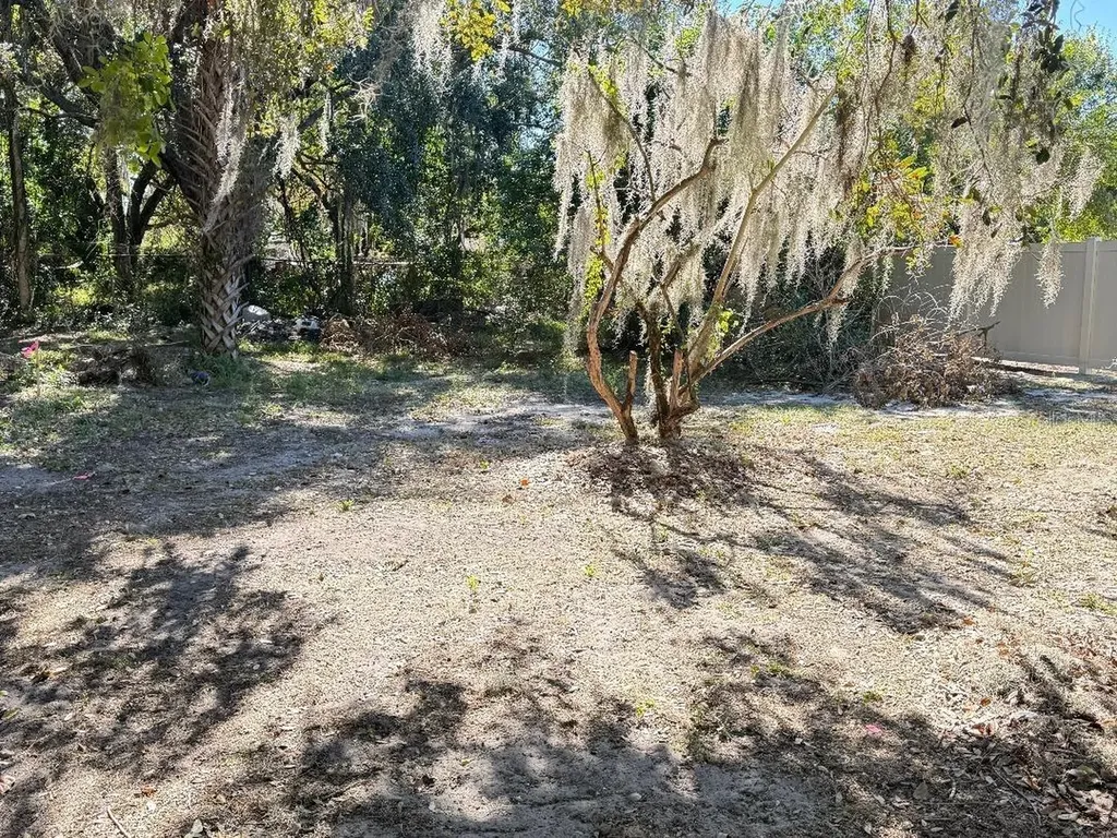 323 Dorsett Avenue Lake Wales FL 33853