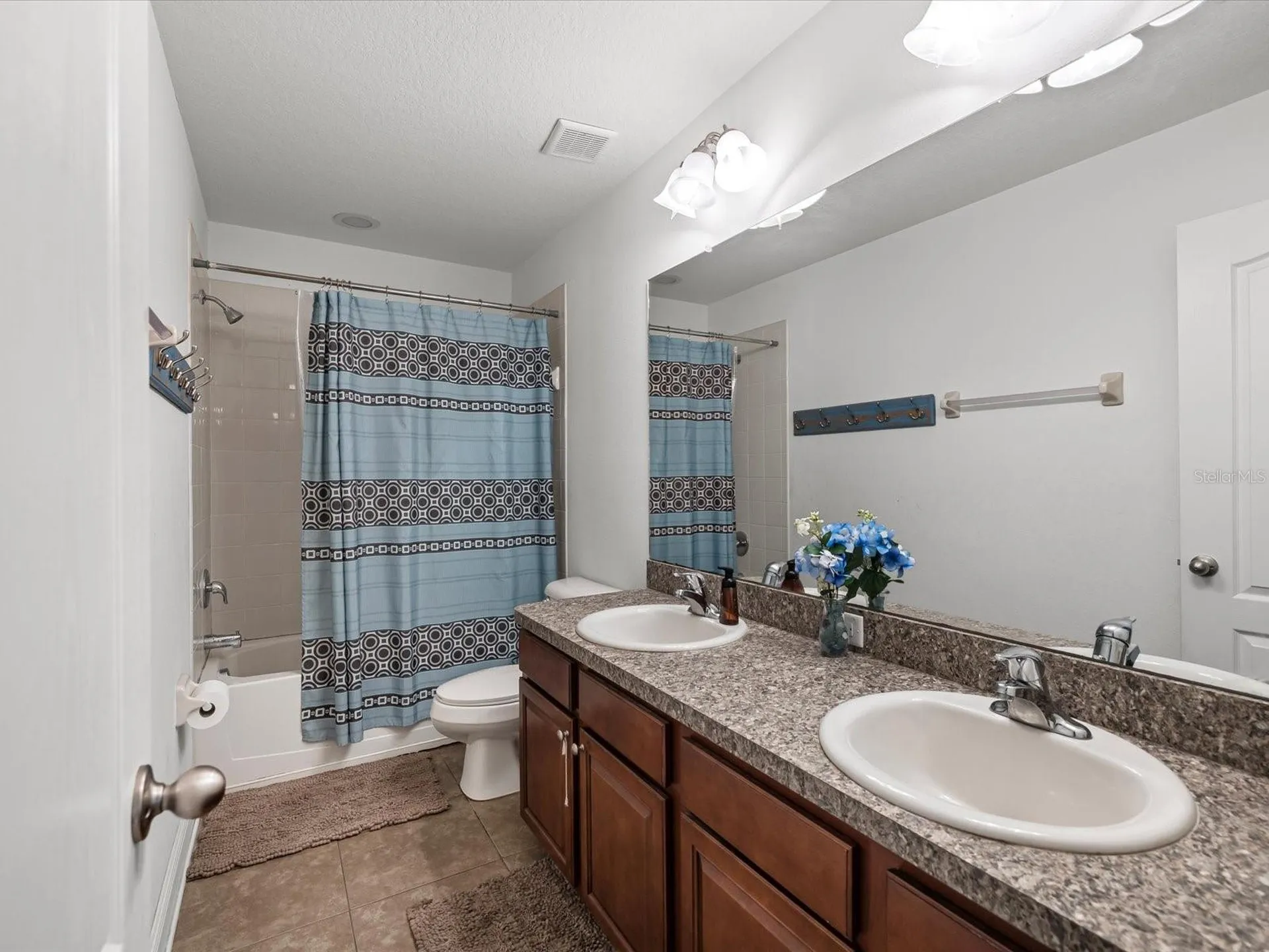2214 Valterra Vista Way Valrico FL 33594