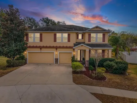 2214 Valterra Vista Way Valrico FL 33594