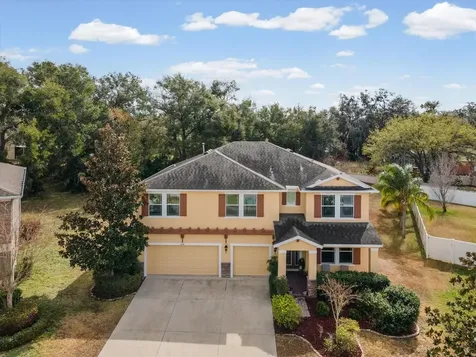 2214 Valterra Vista Way Valrico FL 33594
