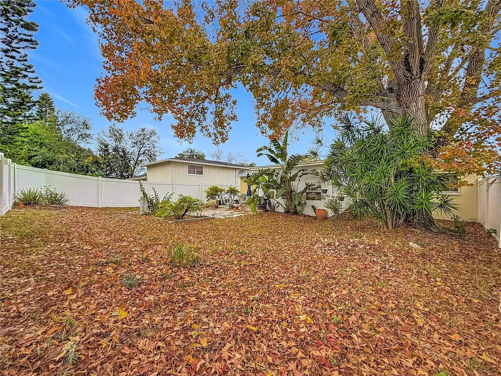 762 Barbara Street Palm Harbor FL 34684