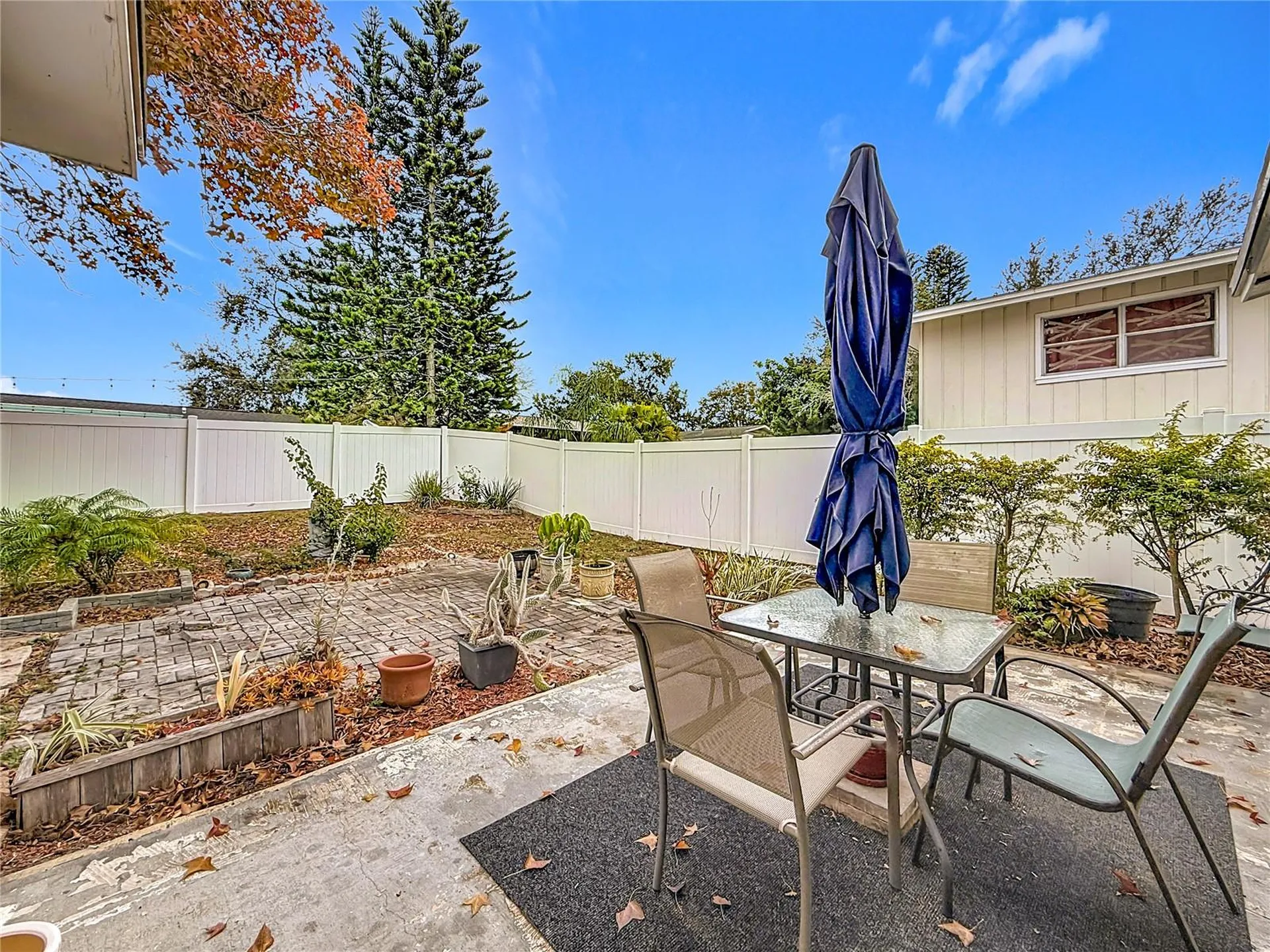 762 Barbara Street Palm Harbor FL 34684