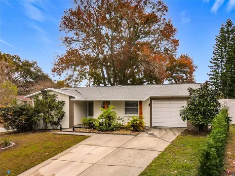 762 Barbara Street Palm Harbor FL 34684
