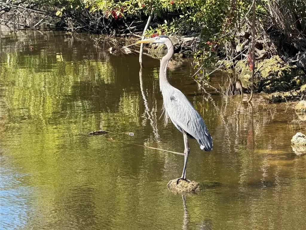 2 Goldfinch Drive Placida FL 33946
