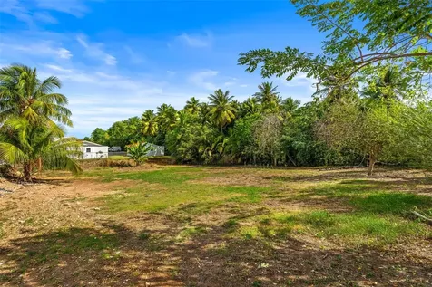 Km 1.1 466 Isabela PR 00662