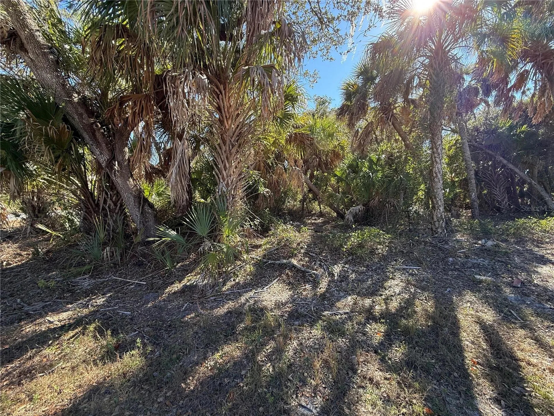163 Statler Street Port Charlotte FL 33954