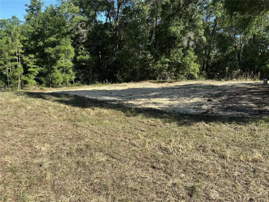 15004 SW 23rd Place Ocala FL 34481