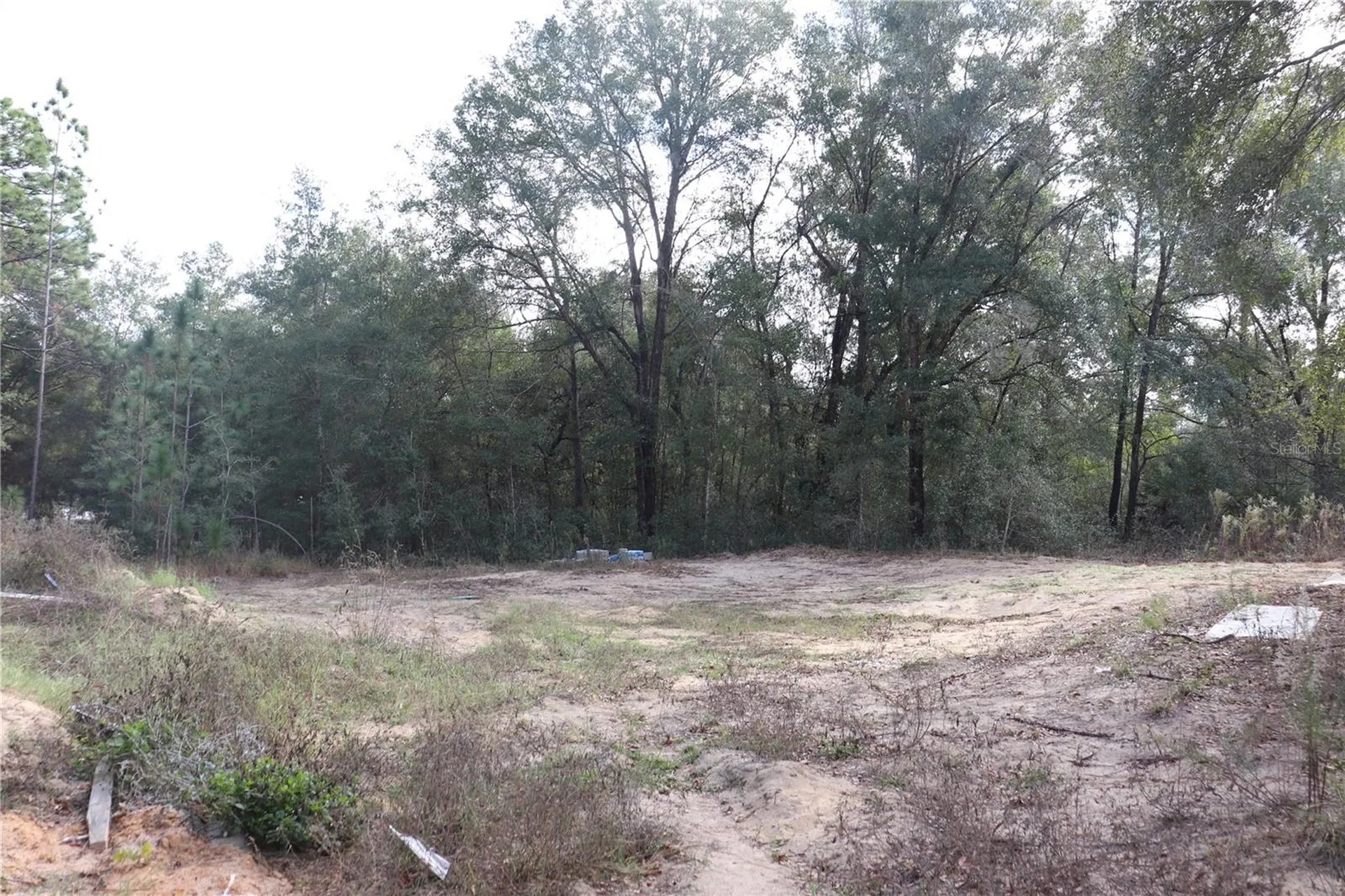 15004 SW 23rd Place Ocala FL 34481