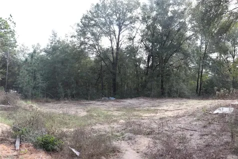 15004 SW 23rd Place Ocala FL 34481
