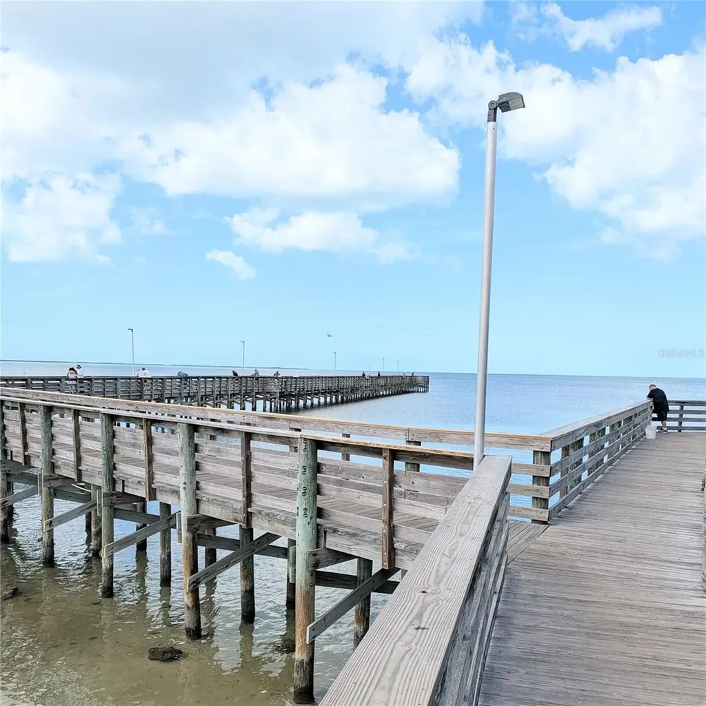 3147 Mela Court Holiday FL 34691