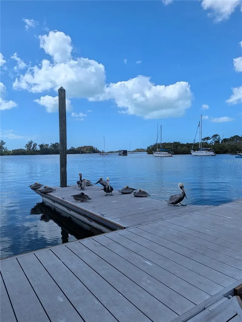 3147 Mela Court Holiday FL 34691