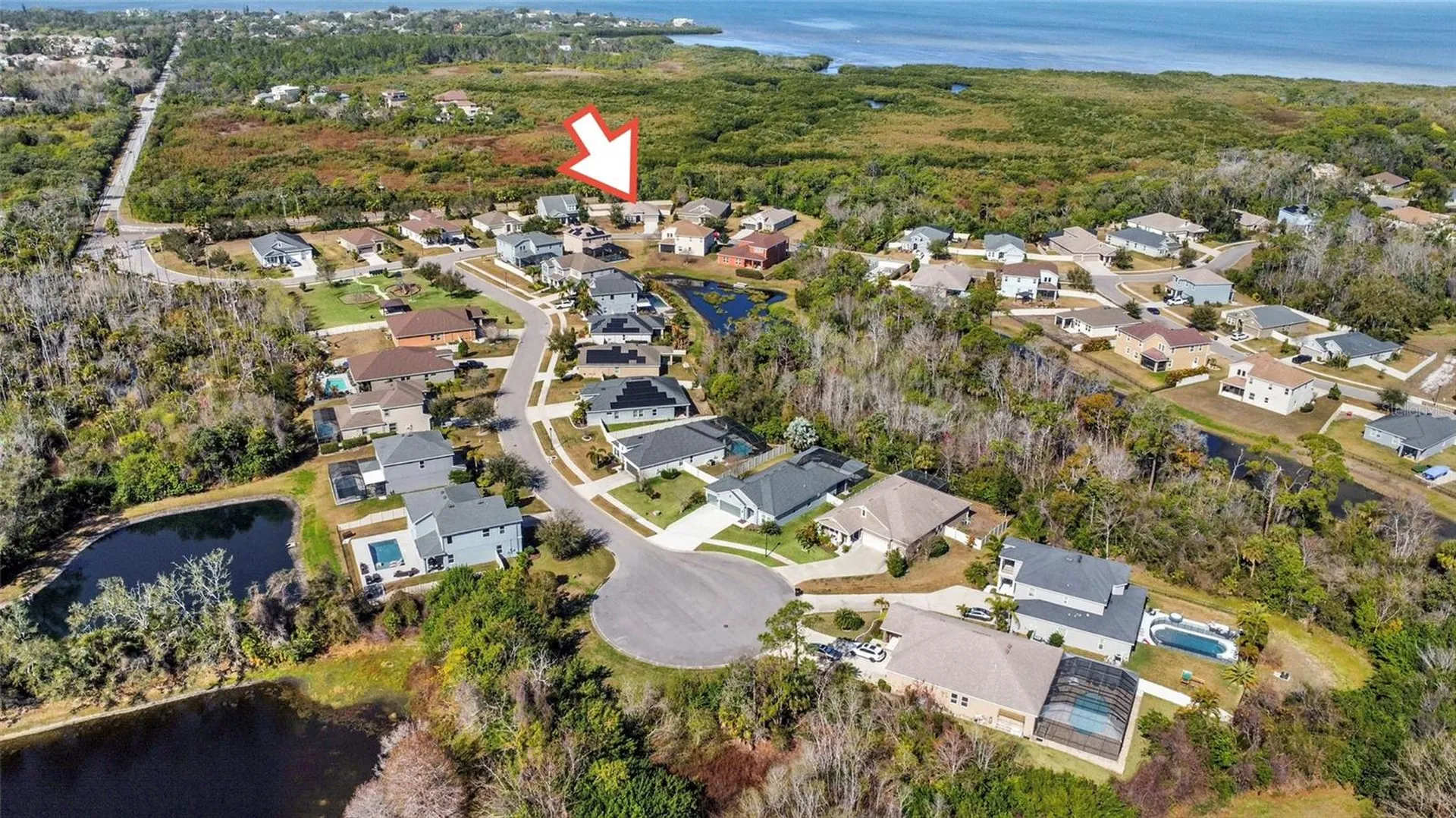3147 Mela Court Holiday FL 34691