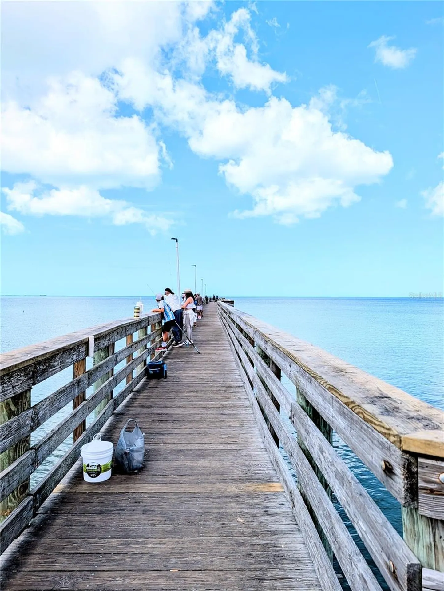 3147 Mela Court Holiday FL 34691
