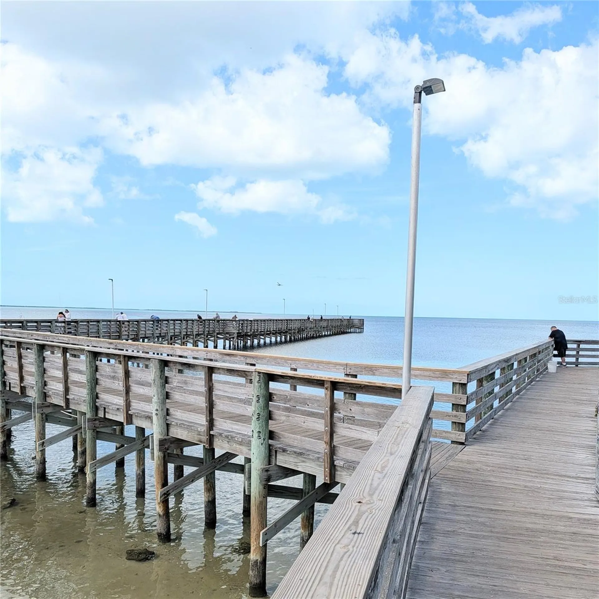 3147 Mela Court Holiday FL 34691