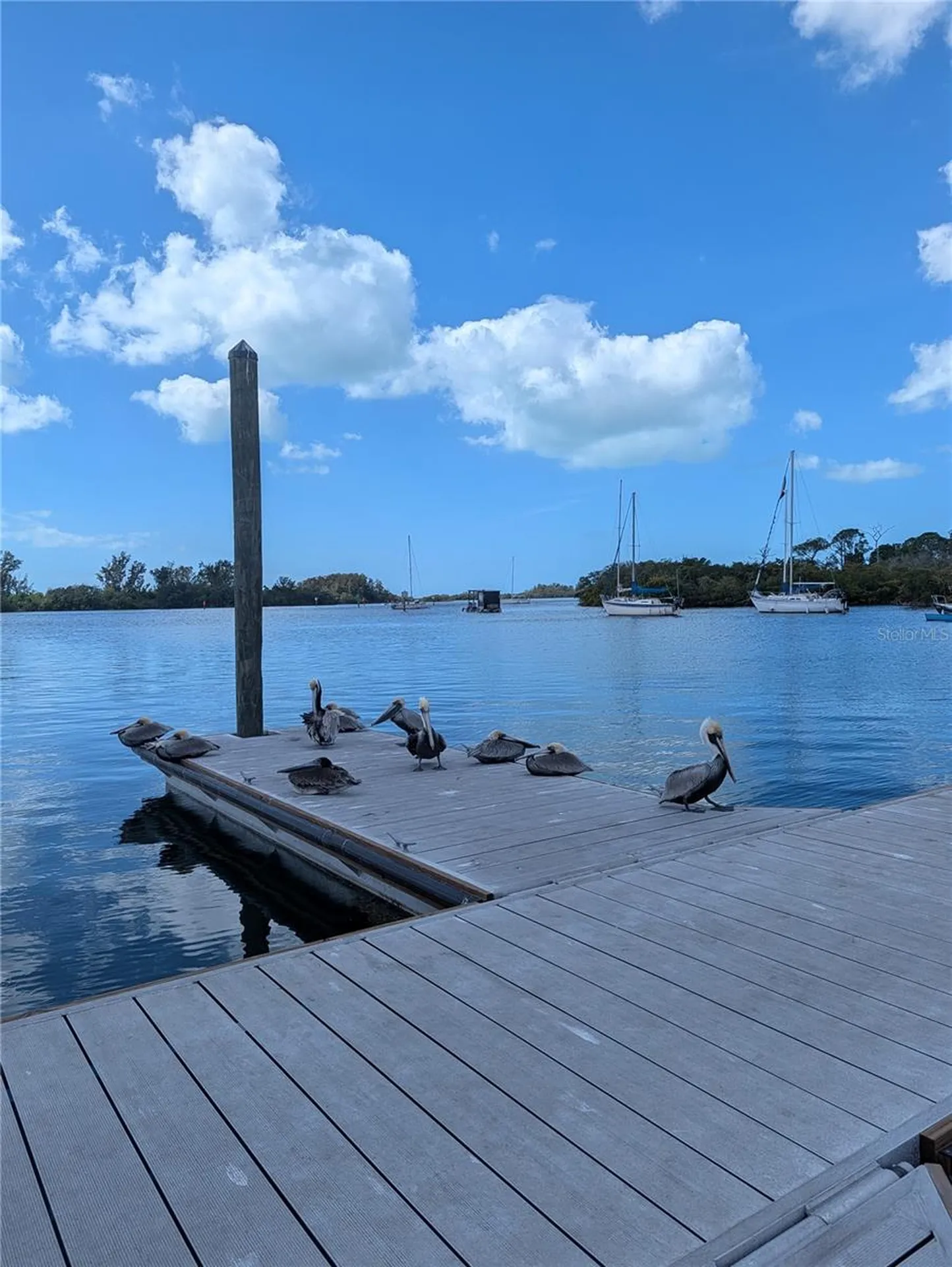 3147 Mela Court Holiday FL 34691