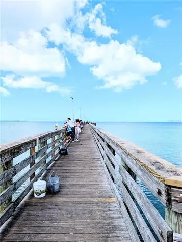 3147 Mela Court Holiday FL 34691