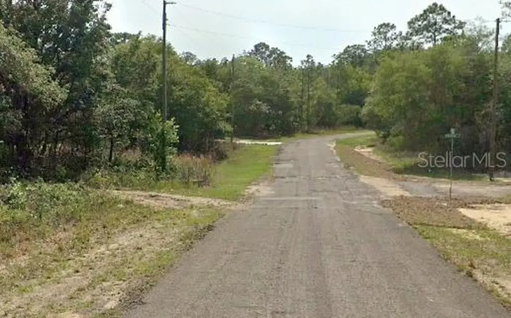 6975 N Lime Drive Citrus Springs FL 34433