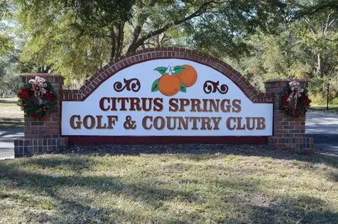 6975 N Lime Drive Citrus Springs FL 34433