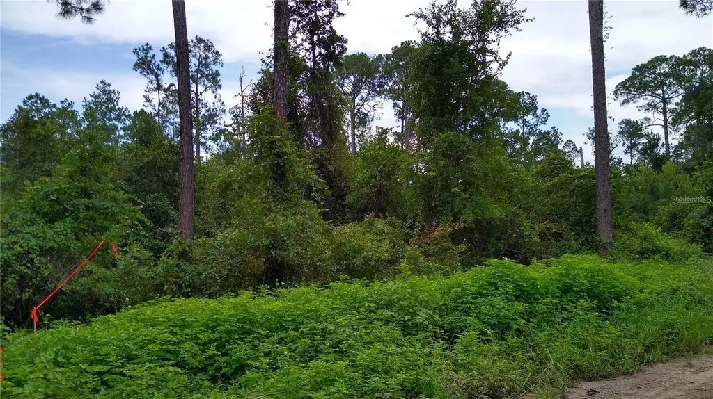 12TH Avenue Deland FL 32724