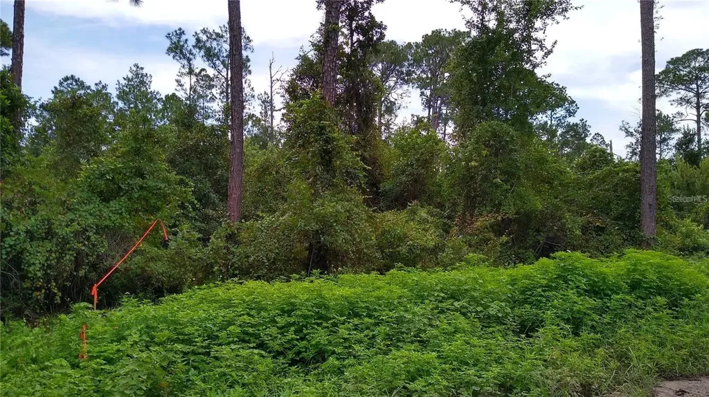 12TH Avenue Deland FL 32724