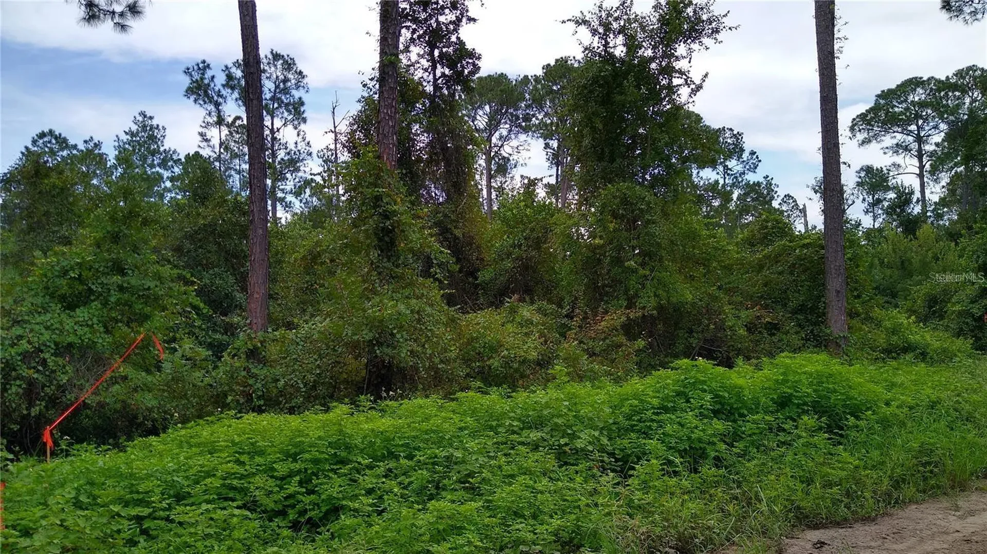12TH Avenue Deland FL 32724