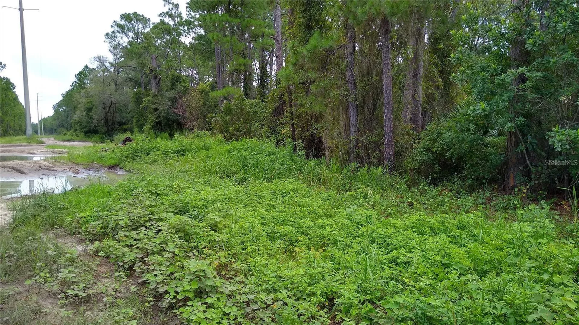 12TH Avenue Deland FL 32724